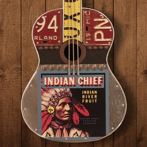 Picture of Indian Chief